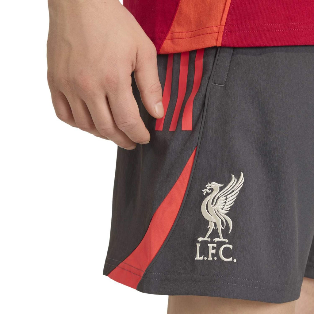Liverpool FC Dt Training Shorts replica