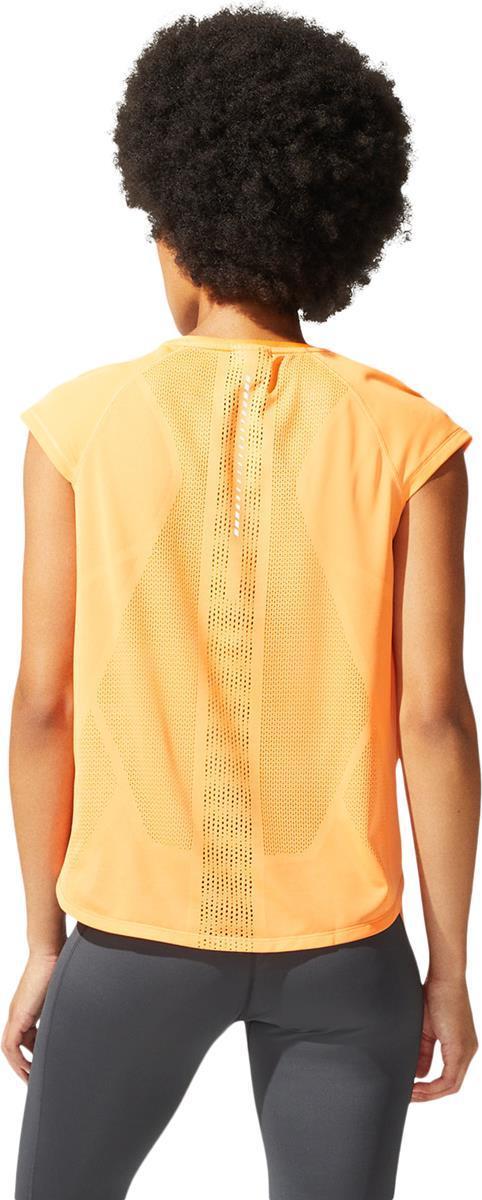 Ventilate Crop Top