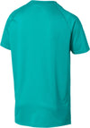puma ss tech tee
