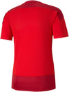 Teamgoal 23 Training Jersey