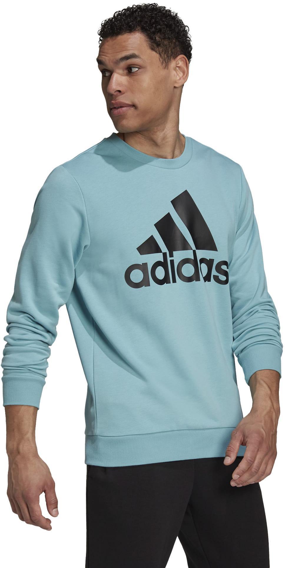 Essentials Big Logo Sweatshirt