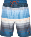 Icon Beachshort