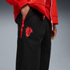Acm Pumatech Woven Pants