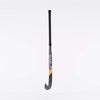 Ac 10 Probow-s hockeystick