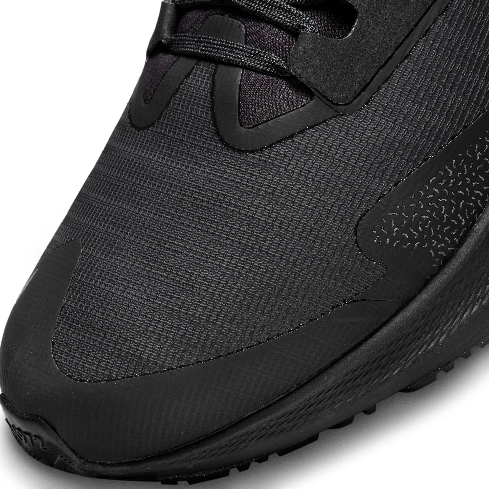 Air Zoom Pegasus 39 Shield hardloopschoenen