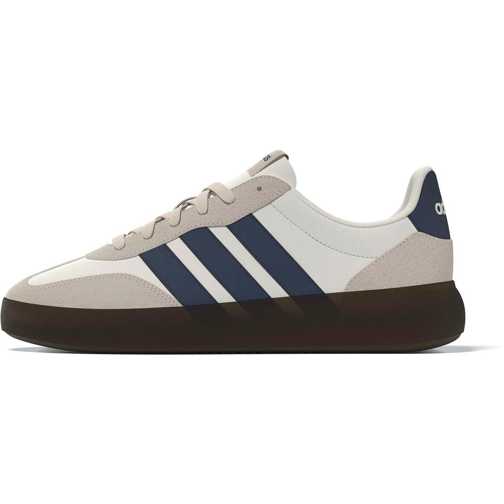 BARREDA DECODE SCHOENEN