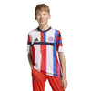 FC Bayern München SS26 Pre-Match Voetbalshirt Kids