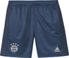 FC Bayern München jr training short 2019-2020