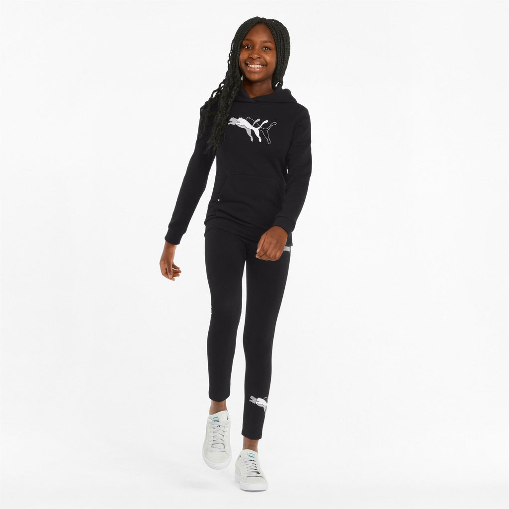 Puma Power Graphic Hoodie