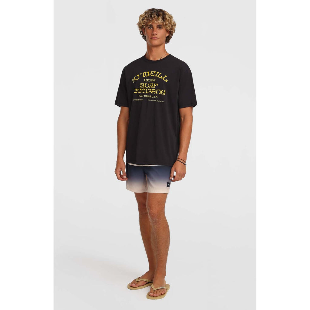 Gradient 15 Zwemshort