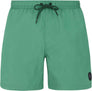Faster Beachshort