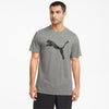 Train Fav Heather Cat Ss Tee