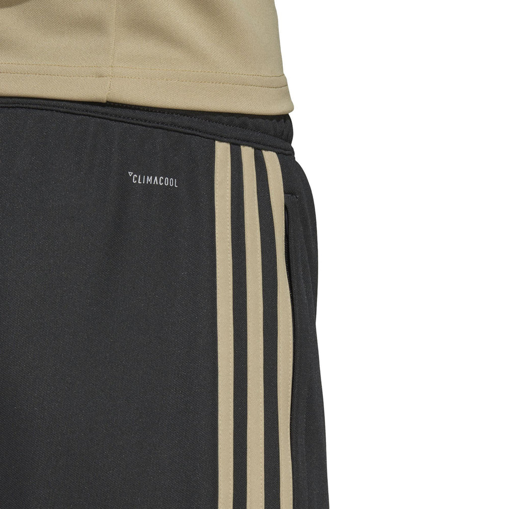 ajax tr pnt