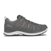 Innox Evo Gtx Wandelschoenen low