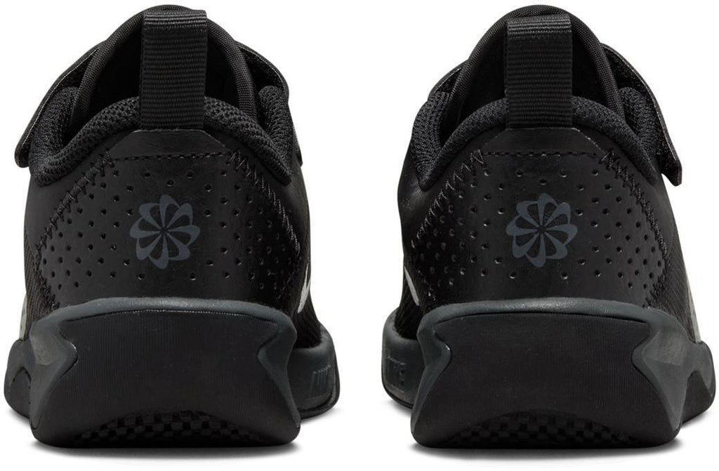 omni multi-court little kids'