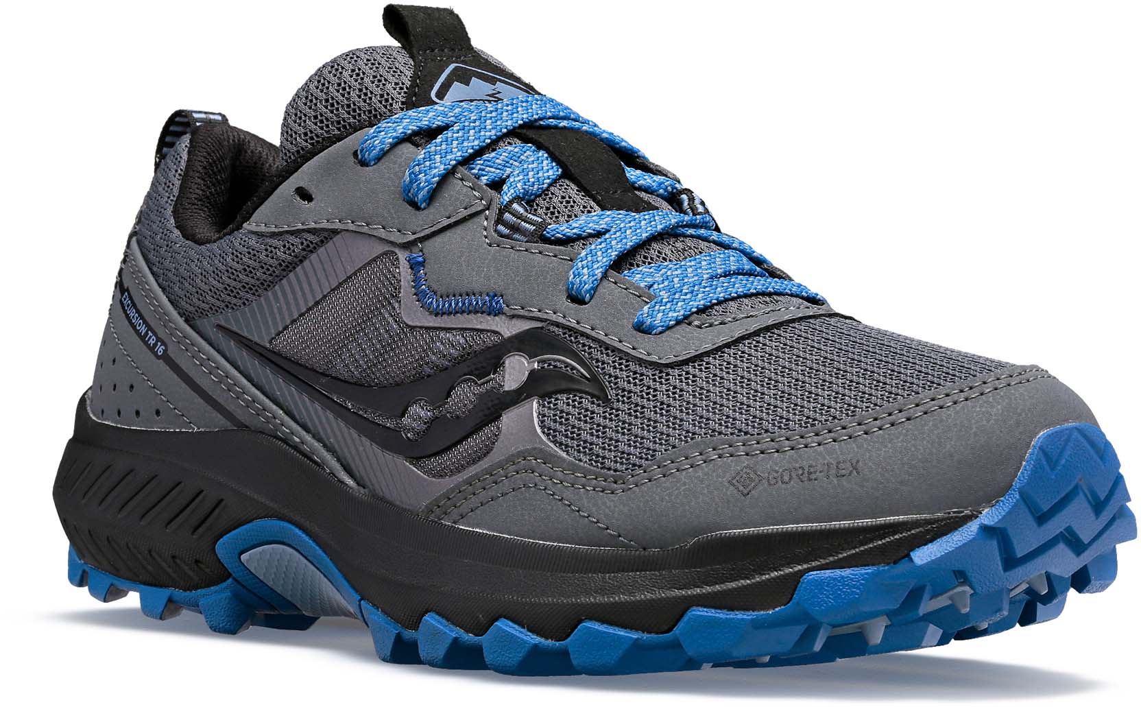 Excursion Tr16 Gtx trailrunschoenen