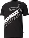 Big Logo Tee