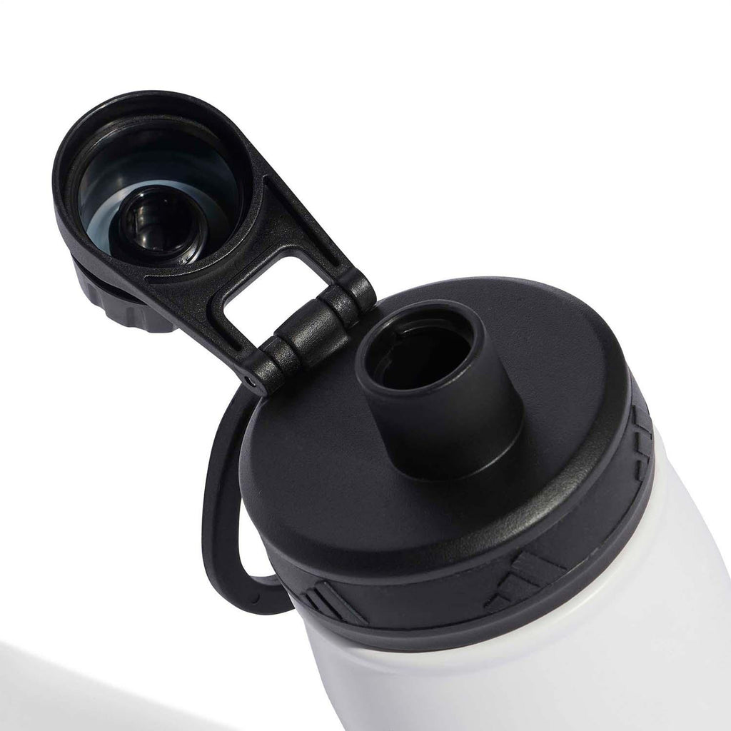 DFB DUITSLAND METALEN FLES