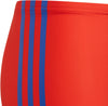 Marvel Brief