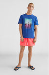 Cali print 16 zwemshort