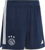 Ajax Amsterdam 23/24 trainingsshort
