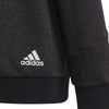 Future Icons 3-Stripes Hooded sweater