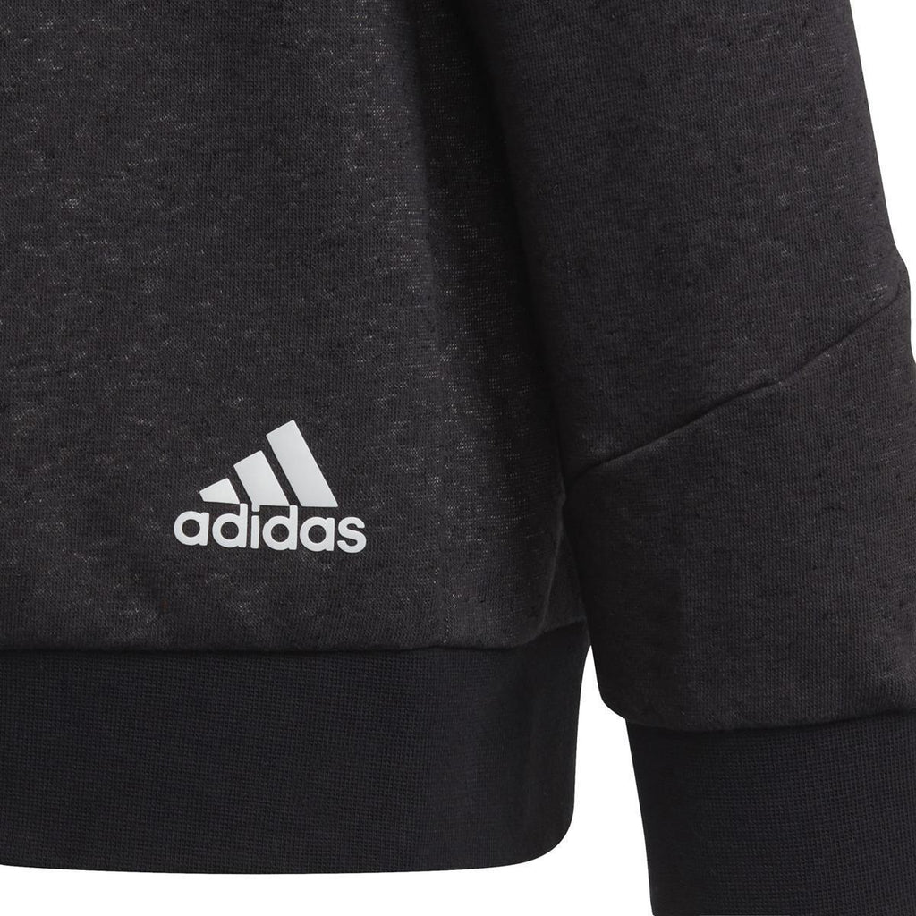 Future Icons 3-Stripes Hooded sweater