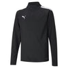 Teamliga 1/4 Zip Top Jr