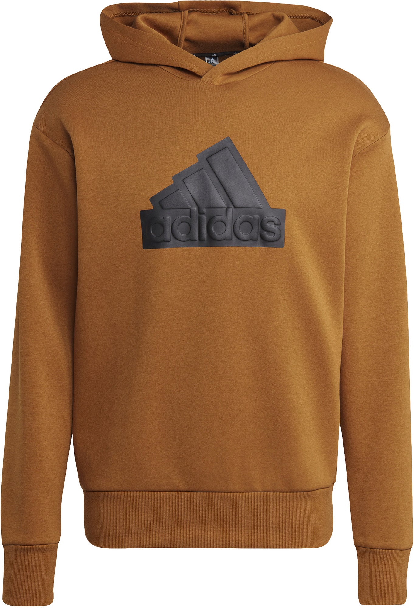 Future Icons Badge of Sport hoodie