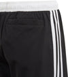 Yb 3s Shorts
