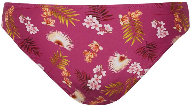 pant regular