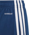 Ajax Amsterdam Uitshort