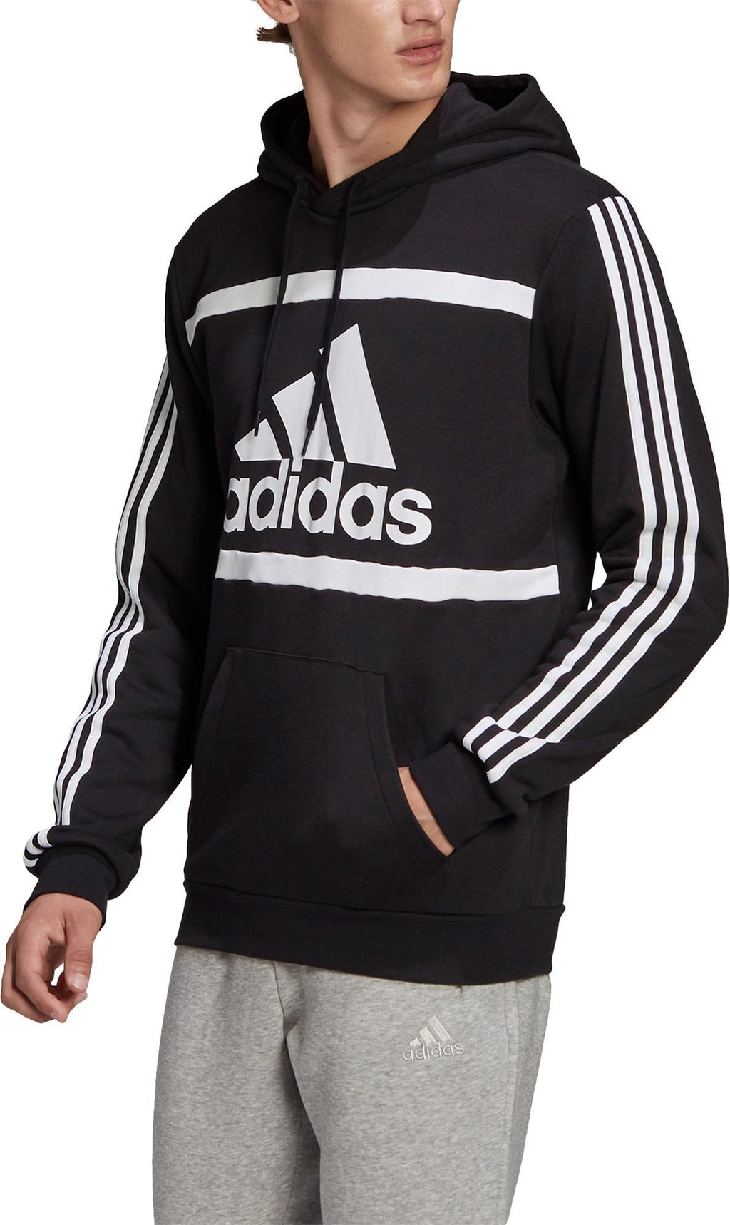 Essentials Logo Colorblock Hoodie