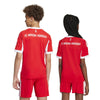 FC Bayern München 25/26 Thuisshirt Kids