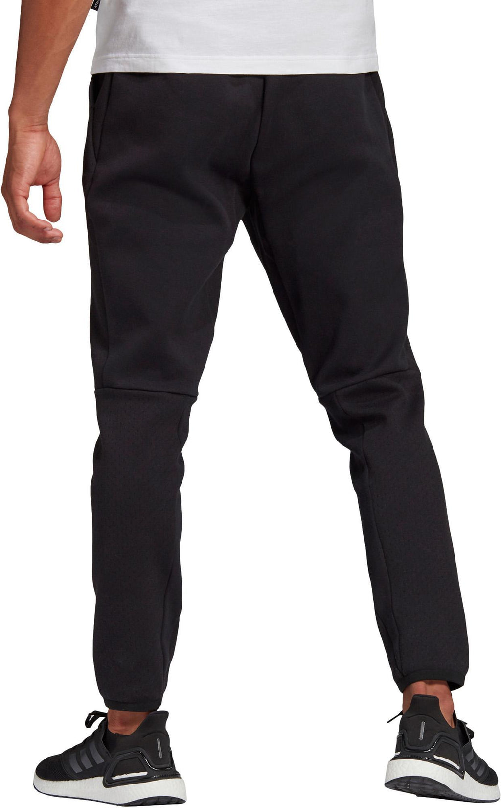 Zne Pant