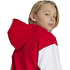 Arsenal ADIDAS Z.N.E. Anthem Jack Kids