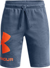 Ua Rival Fleece Logo Shorts