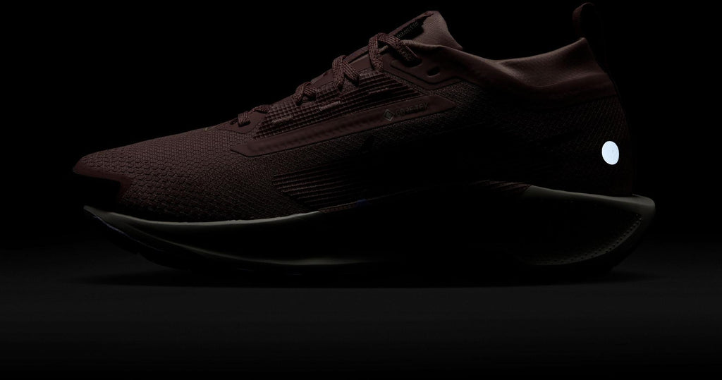 Pegasus Trail 5 gore-tex hardloopschoenen