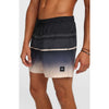 Gradient 15 Zwemshort