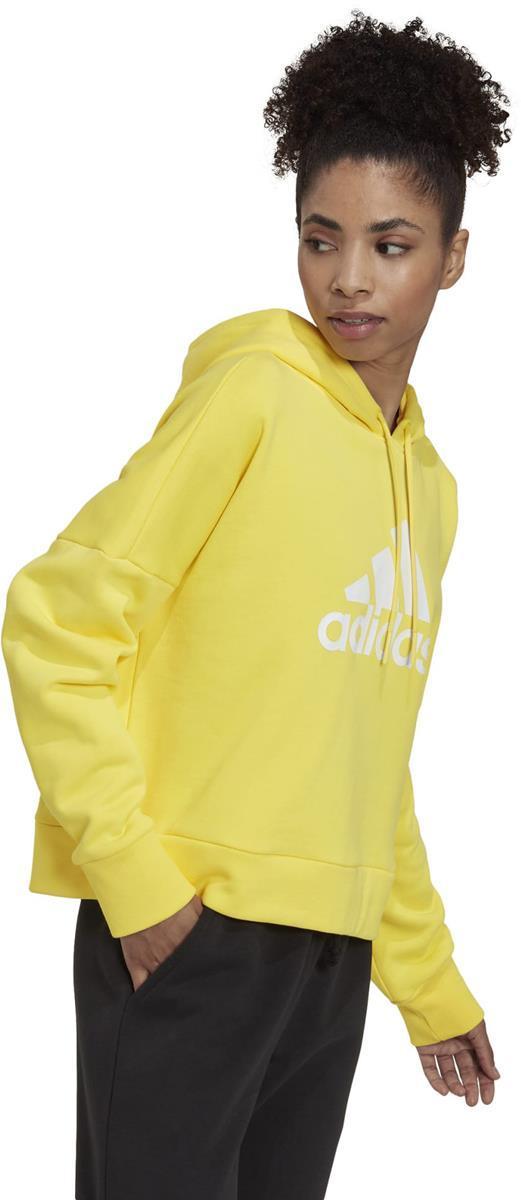 Future Icons Badge of Sport hoodie