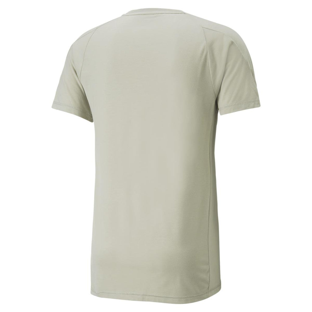 Evostripe Tee