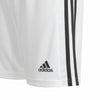 Squadra 21 short
