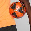 Individualcup shirt