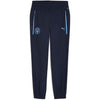 Mcfc Pumatech Woven Pants