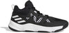 Pro N3XT 2021 Schoenen