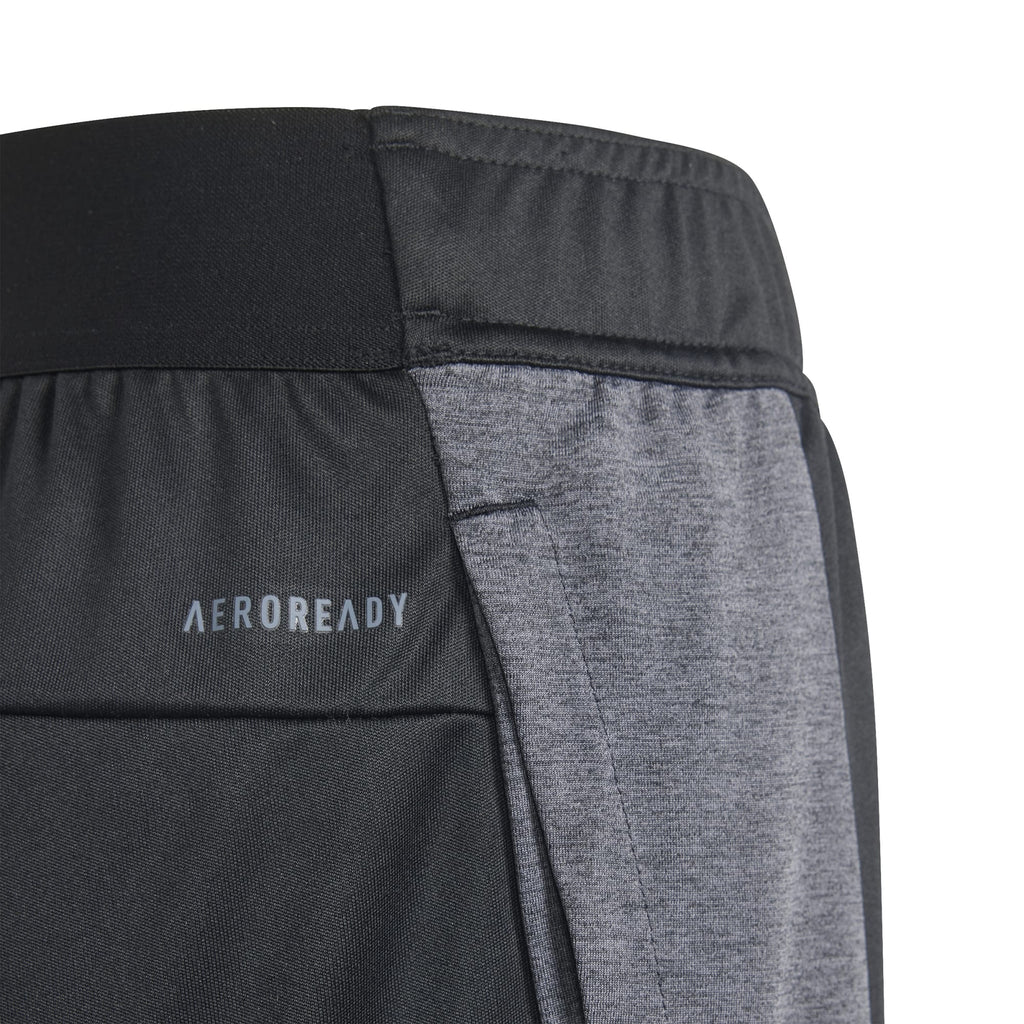 Training AEROREADY Heather short