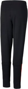 Teamliga Training Pants Jr