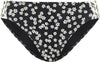 pant regular