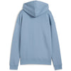 puma class relaxed hoodie fl