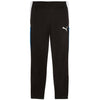 individualliga training pants